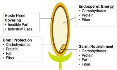 Current Trends of Rice Milling Byproducts for Agricultural Applications and Alternative Food Production Systems